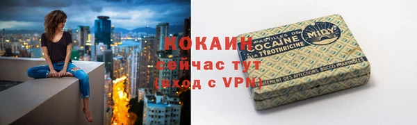 тгк Абаза