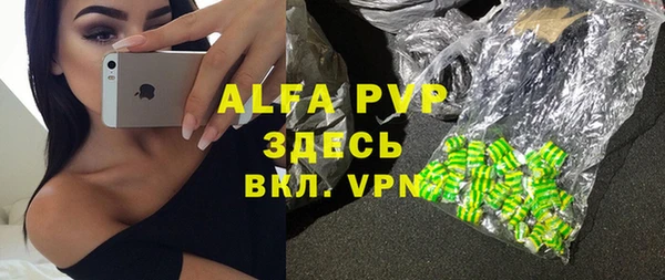 тгк Абаза