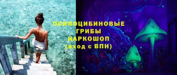 тгк Абаза