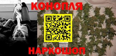 дмт Камышлов