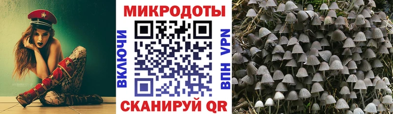 это телеграм  Кудымкар  Псилоцибиновые грибы прущие грибы 